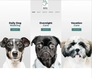 PET CARE 01