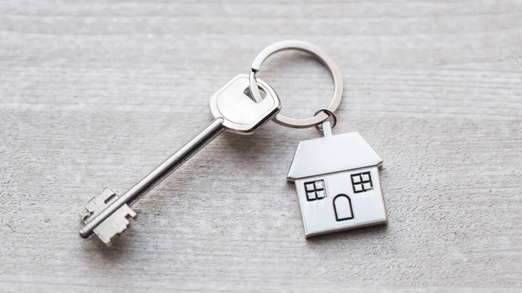 Real Estate Website Design
